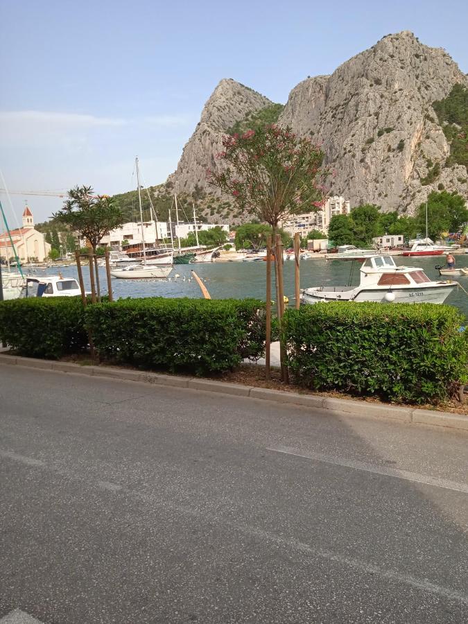 Suco Apartman Celina