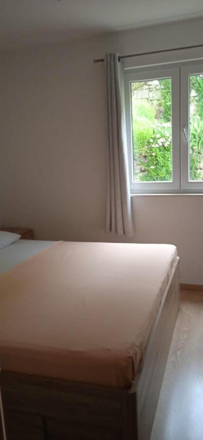 Apartment Suco